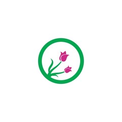 Beauty Vector Tulip flowers design logo Template icon -