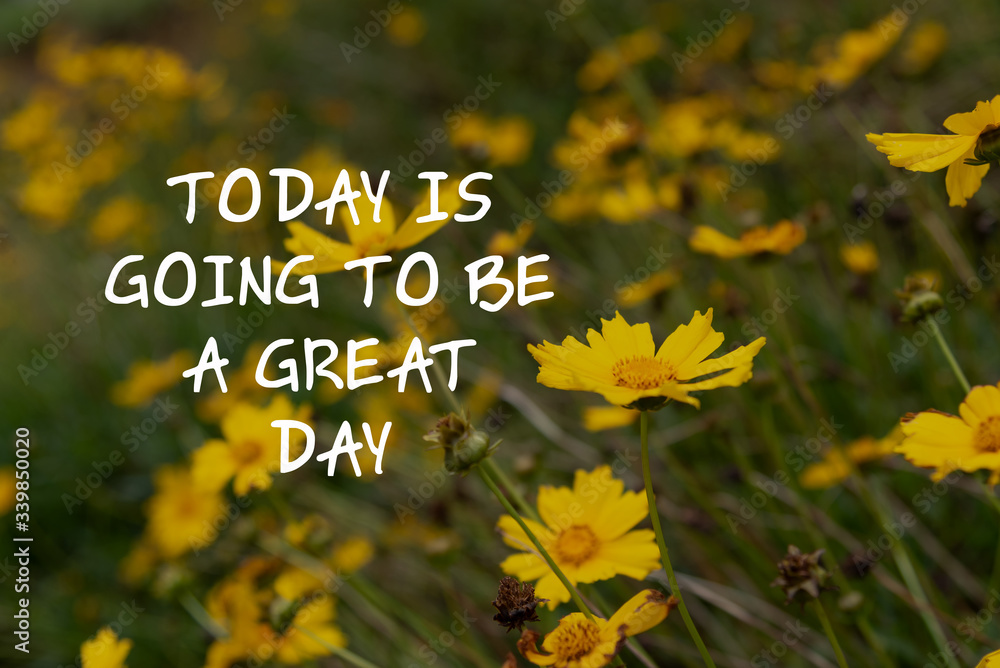 Wall mural inspirational quotes - today is going to be a great day.
