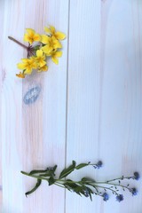 summer wild flowers placed on a pale whitewashed wooden background