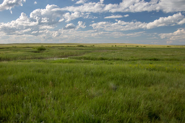 Obraz premium Arkaim is an ancient town in South Ural, Chelyabinsk region, Russia