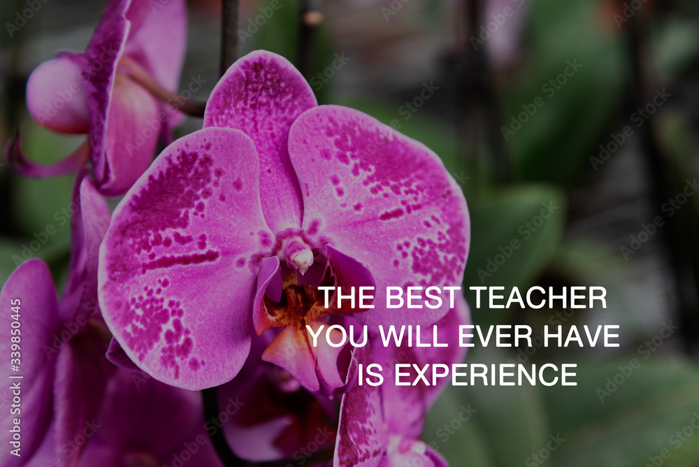 Wall mural inspirational quotes - the best teacher you will ever have is experience.