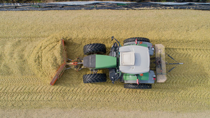 Maisernte, Mais Silage Haufen mit Traktor festfahren