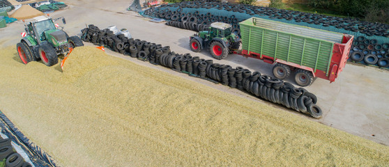 Maisernte, Mais Silage Haufen mit Traktor festfahren