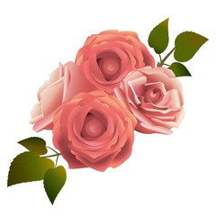 ピンクのバラの花の飾り