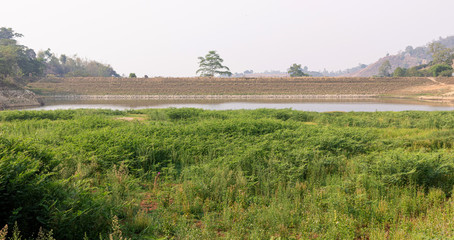Fototapeta na wymiar nature purity meadows with lake