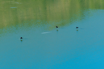 blue waters of the Beninar reservoir (Spain)