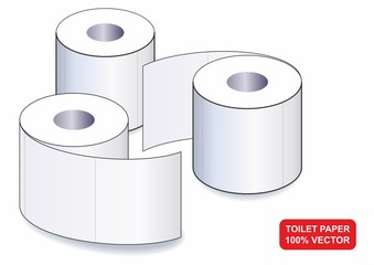 Toilet paper, vector illustration on a white background.