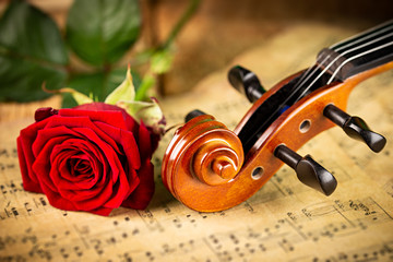 classic retro violin music string instrumt on old music note sheet paper with red rose flower old...