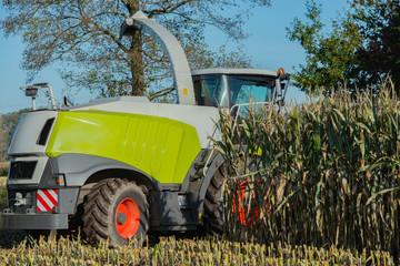 Maisernte, Maishäcksler in der Aktion, Erntewagen mit Traktor