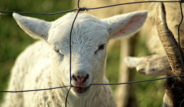 "Psssst... ich breche aus!"