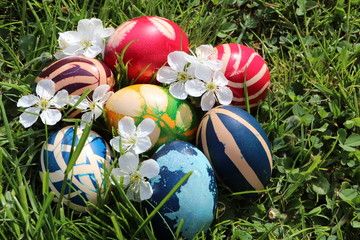 Easter eggs colorful painted on grass background