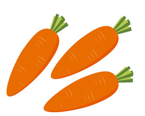 人参　野菜　イラスト　ベクター