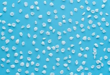 Spring pattern blue background petals rhythm.