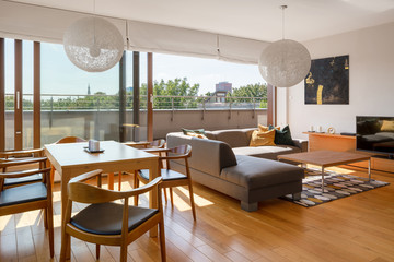 Stylish living room with terrace