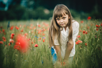 beautiful girl with long hair in a field with poppies