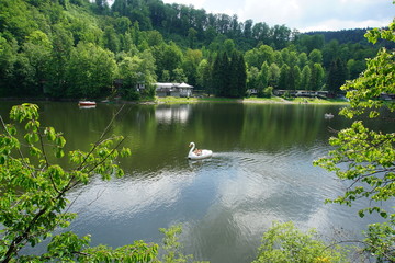 Jezioro Bystrzyckie, Lower Silesia, Poland. May 2019