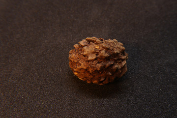 Rudraksha seeds