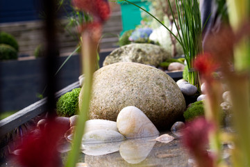 Rassemblement pour marché aux plantes du printemps