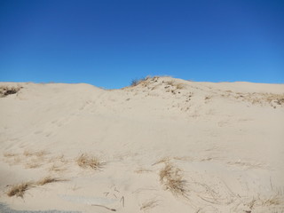 Fototapeta na wymiar Large sand dune against a deep blue sky. No people, Copy space