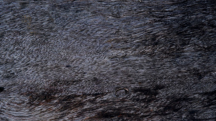 Wooden texture. Wooden plate. Wooden background