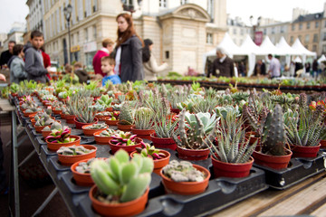 Rassemblement pour marché aux plantes du printemps