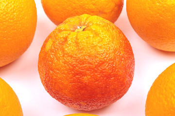 Red orange close-up on a white background.