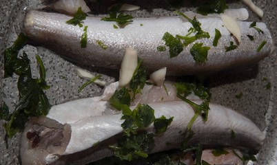 typical frozen cod fish ready for cooking