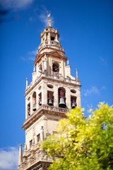 Fototapeta na wymiar Torre del Alminar, la Mezquita, Cordoba