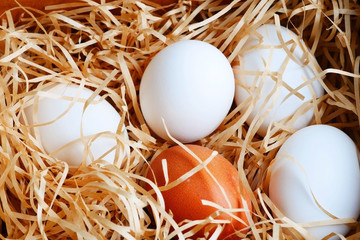 Natural chicken eggs are spread on cut paper with a close-up view from above. The Easter theme is preparing eggs before painting. Artificial nest - eggs on paper shavings.