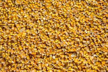 Corn beans background  texture background