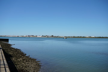 Fototapeta premium pier on the beach
