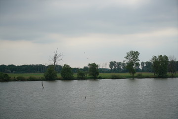 lake in the park