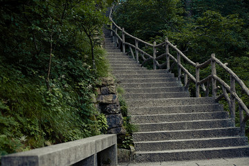 Stairs up in lonely park nobody