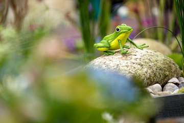 Rassemblement pour marché aux plantes du printemps