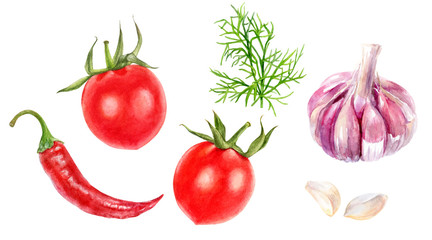 Cherry tomatoes garlic dill pepper set watercolor isolated on white background