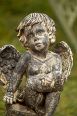 Rassemblement pour march&eacute; aux plantes du printemps