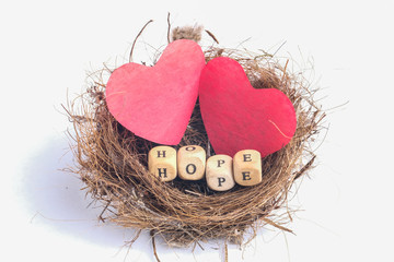 red hearts in a nest still-life