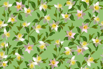 Fototapeta na wymiar Seamless pattern with white flowers and green foliage.