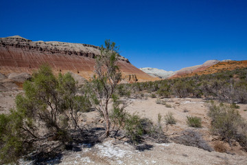 Colored mountains of Aktau in Kazakhstan among saxaul bushes.