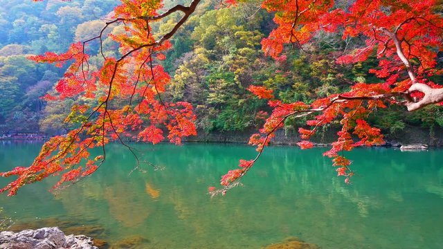 Boatman punting the boat at river. Arashiyama in autumn season
