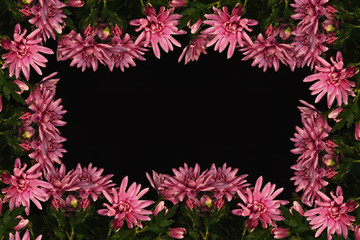 Pink flowers form a frame on a black background.