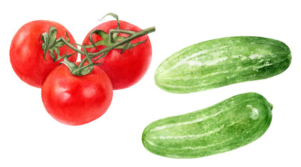 Cherry tomatoes cucumber set watercolor isolated on white background