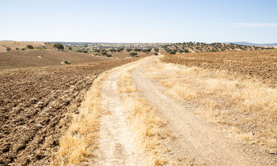 rural path on a plowed land next to Monterrubio de la Serena, province of Badajoz, Extremadura, Spain