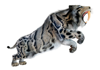 3D Rendering Sabertooth Tiger on White