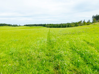 Obraz premium Hilly cultural landscape in the five-lake region around Lake Starnberg and Lake Ammer. The sky is overcast, the fresh green meadows and trees are waiting for rain.