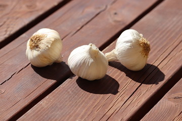 Garlic on brown background