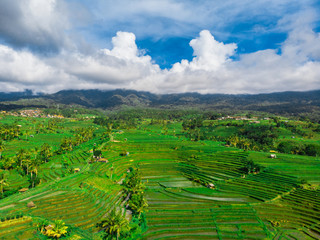 Tourist destination-Bali. Rice terraces and tropical forest in Bali. Aerial view of the Jatiluwih rice terraces. Photo shooting with a drone.