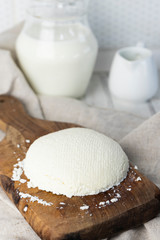 homemade natural cream cheese on a light background