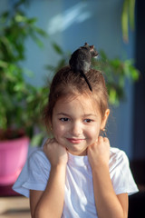 The girl at home plays with her pet a Mongolian gerbil, puts it on her head. Rodent content
