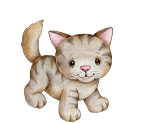 Watercolor hand painted cute little cartoon kitten cat kitty, gray. Isolated.